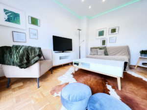 Waldblick: Wohnzimmer mit TV und Schlafcouch